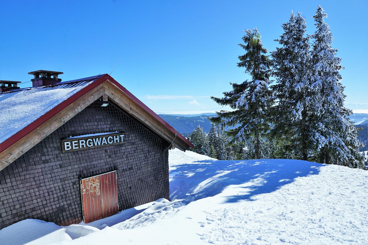 mountain-watch-3433420_1280